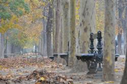 Paris - jardin Luxembourg Paris - jardin Luxembourg