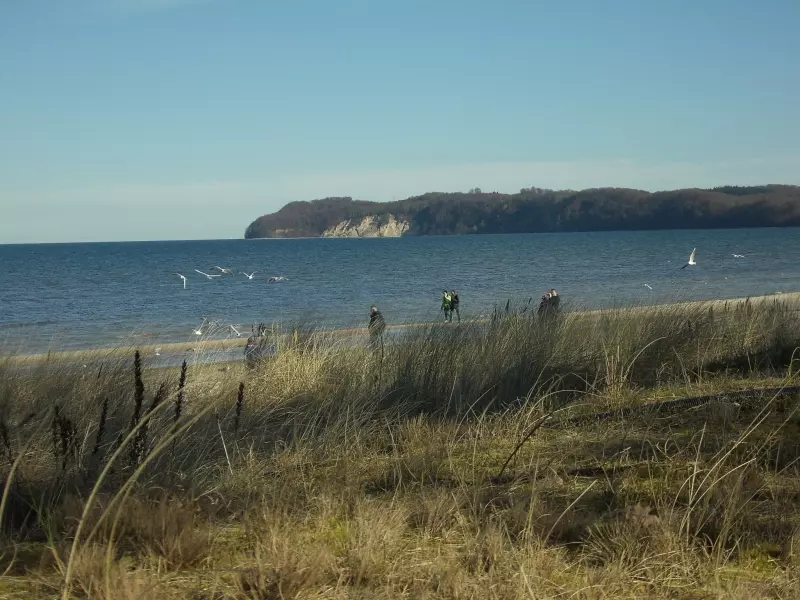 Strand und Dünen an der Ostsee