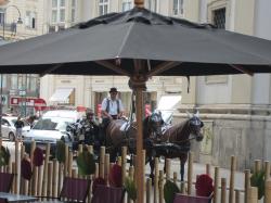 Escapada urbana a Viena