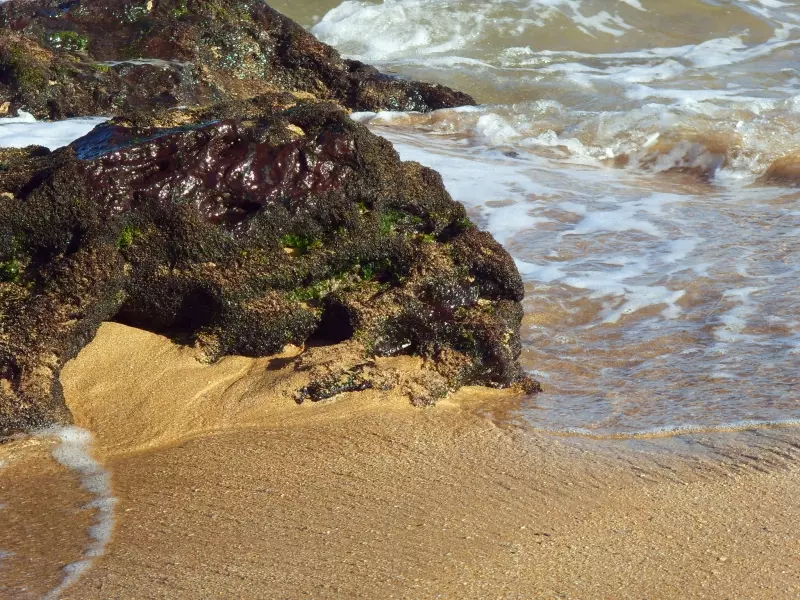 Wasser und Sand an einem Küstenabschnitt