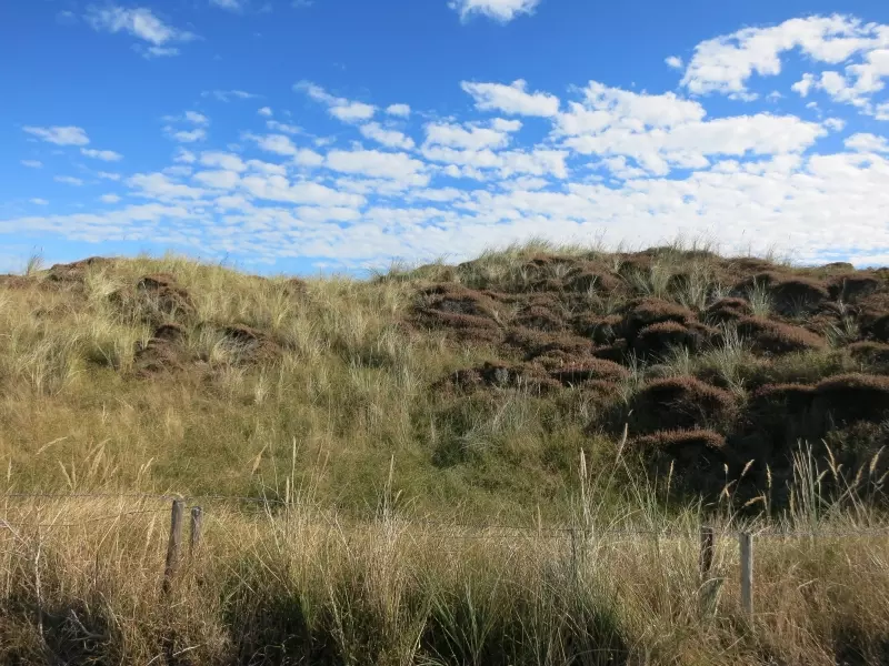 Dünenlandschaft auf Texel