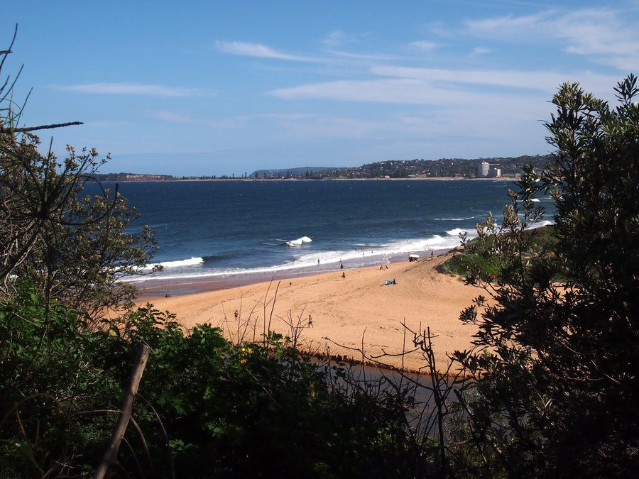 Narrabeen Lagoon with water and shoreline