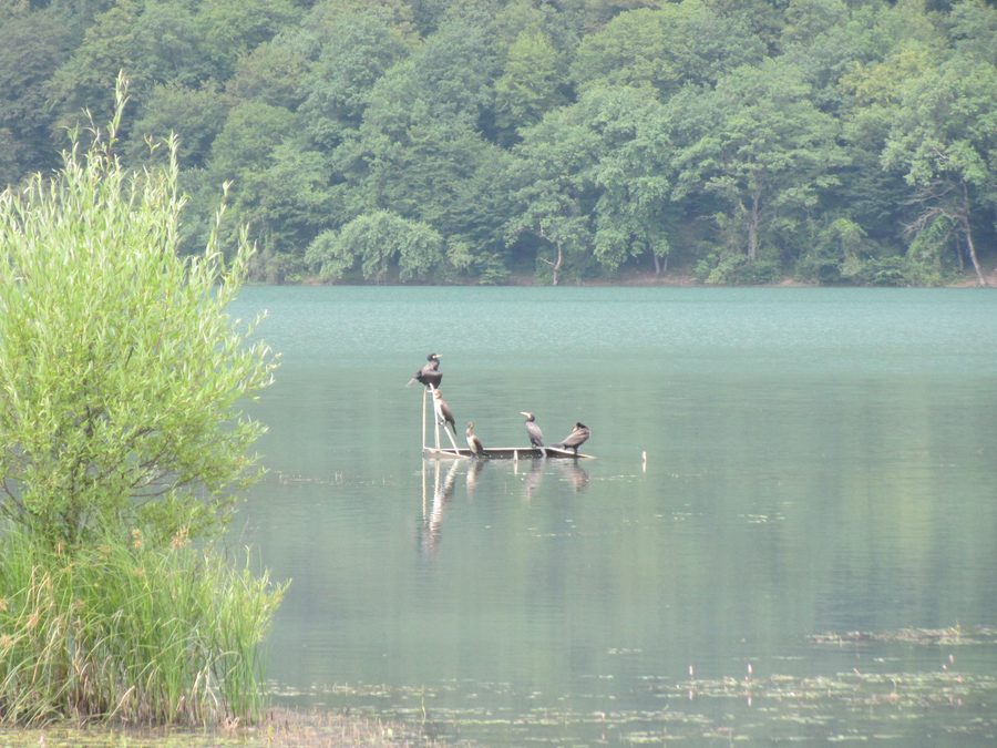 Nohur-See bei Qabala