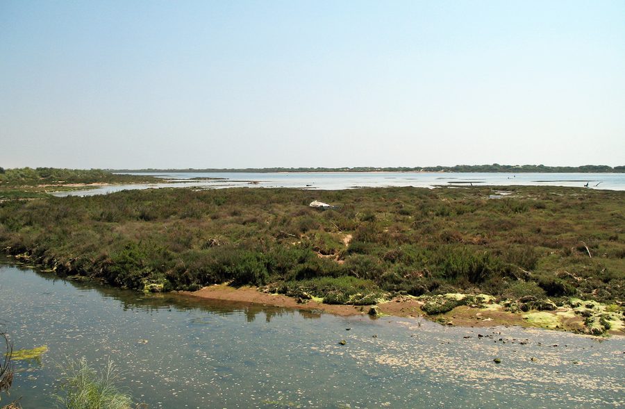 Küstenlandschaft der Ria Formosa bei Cacela Velha in der Algarve