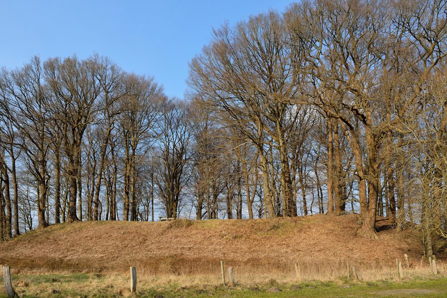 Blick von außen auf den Wallberg in Willenscharen