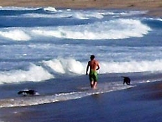 Hundestrand an der Nordsee