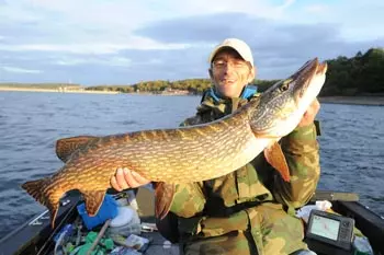 Angler hält einen Hecht auf dem Möhnesee